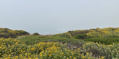 The Bluffs at Wilder